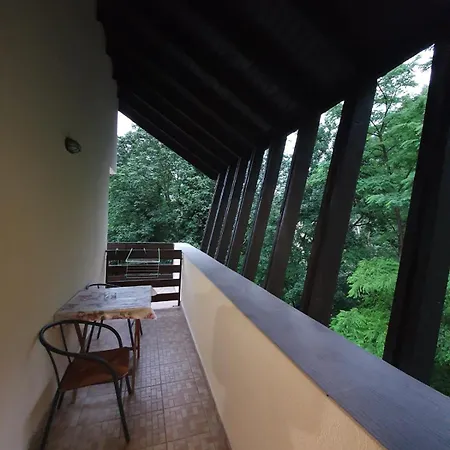 Pensiunea Iasmina Si Pescarul 3* Călimăneşti